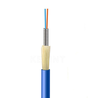 KEXINT Armoured Anti Rodent Indoor Fiber Optical Cable GJSFJV One Tube With 2 Cores