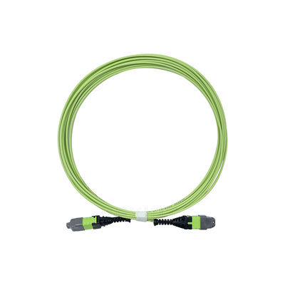 KEXINT 12 Core OM5 Fiber Optic Patch Cord 2.0mm 5M Type B Multimode