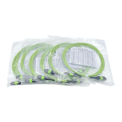KEXINT 12 Core OM5 Fiber Optic Patch Cord 2.0mm 5M Type B Multimode