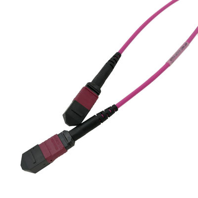 G657A1 Fiber Optical Patch Cord 24 Cores Red Low Insertion Loss
