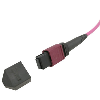 G657A1 Fiber Optical Patch Cord 24 Cores Red Low Insertion Loss