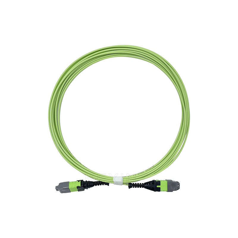 KEXINT 12 Core OM5 Fiber Optic Patch Cord 2.0mm 5M Type B Multimode