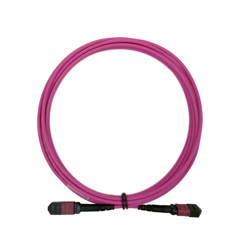 G657A1 Fiber Optical Patch Cord 24 Cores Red Low Insertion Loss